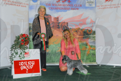 WCH_0298A_WELSH-KENNEL-CLUB-2024-1-1