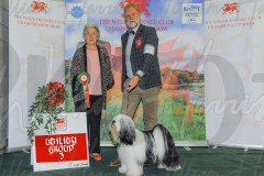 WCH_0317A_WELSH-KENNEL-CLUB-2024-1-1