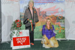 WCH_0325A_WELSH-KENNEL-CLUB-2024-1-1