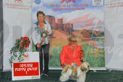 WCH_0330A_WELSH-KENNEL-CLUB-2024-1-1