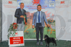 WCH_0357A_WELSH-KENNEL-CLUB-2024-1-1