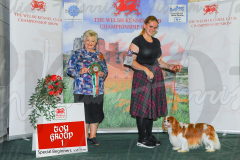 WCH_0385A_WELSH-KENNEL-CLUB-2024-