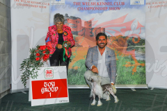 WCH_0425A_WELSH-KENNEL-CLUB-2024-