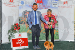 WCH_0438A_WELSH-KENNEL-CLUB-2024-
