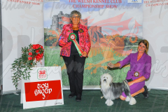 WCH_0450A_WELSH-KENNEL-CLUB-2024-