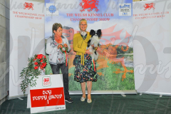 WCH_0463A_WELSH-KENNEL-CLUB-2024-