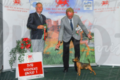 WCH_0491A_WELSH-KENNEL-CLUB-2024-