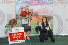WCH_0525A_WELSH-KENNEL-CLUB-2024-