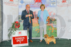 WCH_0559A_WELSH-KENNEL-CLUB-2024-