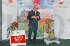 WCH_0571A_WELSH-KENNEL-CLUB-2024-