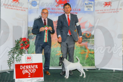 WCH_0586A_WELSH-KENNEL-CLUB-2024-