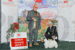 WCH_0620A_WELSH-KENNEL-CLUB-2024-