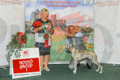 WCH_0640A_WELSH-KENNEL-CLUB-2024-