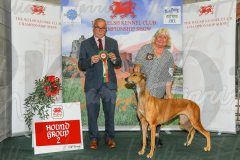 WCH_0670A_WELSH-KENNEL-CLUB-2024-
