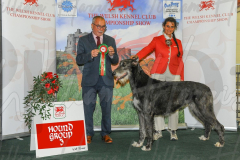WCH_0676A_WELSH-KENNEL-CLUB-2024-