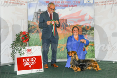 WCH_0681A_WELSH-KENNEL-CLUB-2024-