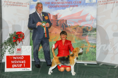 WCH_0721A_WELSH-KENNEL-CLUB-2024-