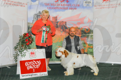 WCH_0751A_WELSH-KENNEL-CLUB-2024-