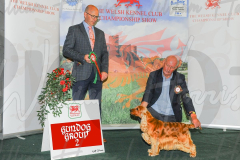 WCH_0792A_WELSH-KENNEL-CLUB-2024-