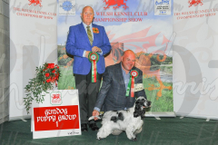 WCH_0816A_WELSH-KENNEL-CLUB-2024-