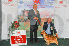 WCH_0842A_WELSH-KENNEL-CLUB-2024-