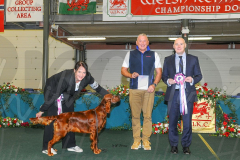 WCH_0876A_WELSH-KENNEL-CLUB-2024-