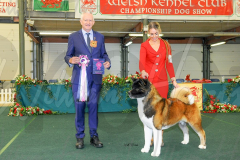 WCH_0888A_WELSH-KENNEL-CLUB-2024-