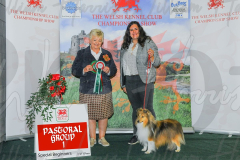 WCH_0900A_WELSH-KENNEL-CLUB-2024-