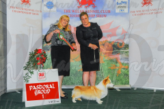 WCH_0928A_WELSH-KENNEL-CLUB-2024-