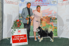 WCH_0960A_WELSH-KENNEL-CLUB-2024-