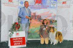 WCH_0995A_WELSH-KENNEL-CLUB-2024-