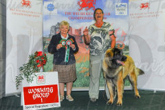 WCH_1023A_WELSH-KENNEL-CLUB-2024-