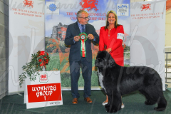 WCH_1050A_WELSH-KENNEL-CLUB-2024-