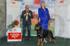 WCH_1072A_WELSH-KENNEL-CLUB-2024-