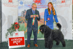 WCH_1075A_WELSH-KENNEL-CLUB-2024-