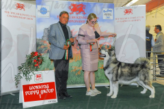 WCH_1081A_WELSH-KENNEL-CLUB-2024-