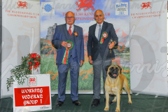 WCH_1121A_WELSH-KENNEL-CLUB-2024-