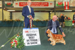 WCH_1150A_WELSH-KENNEL-CLUB-2024-
