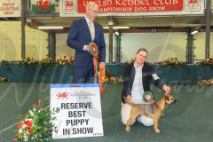 WCH_1165A_WELSH-KENNEL-CLUB-2024-