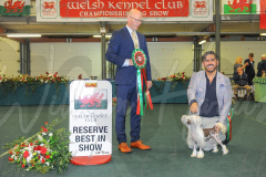 WCH_1182A_WELSH-KENNEL-CLUB-2024-