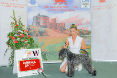 WH1_1610_WKC-2025-TERRIERS-scaled