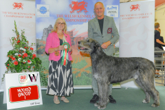 WH1_1649_WKC-2025-HOUNDS-scaled
