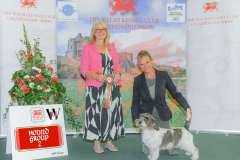 WH1_1657_WKC-2025-HOUNDS-scaled