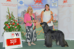 WH1_1666_WKC-2025-HOUNDS-scaled
