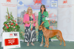 WH1_1671_WKC-2025-HOUNDS-scaled