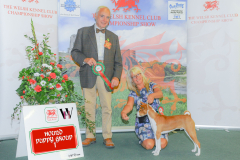 WH1_1682_WKC-2025-HOUNDS-scaled