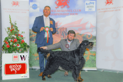 WH1_1849_WKC-2025-GUNDOGS-scaled