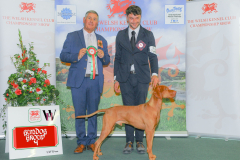 WH1_1860_WKC-2025-GUNDOGS-scaled