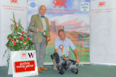 WH1_1864_WKC-2025-GUNDOGS-scaled