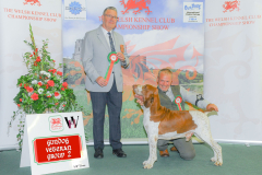 WH1_1898_WKC-2025-GUNDOGS-scaled
